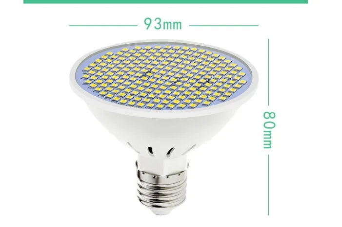E27 LED bulb with warm white and cool white colour temperature options for household lighting