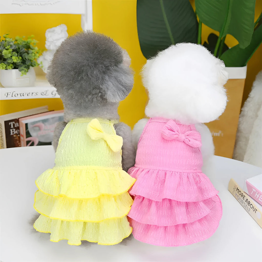 Small dog wearing princess dress with layered skirt in candy colour, suitable for teddy bichon breeds