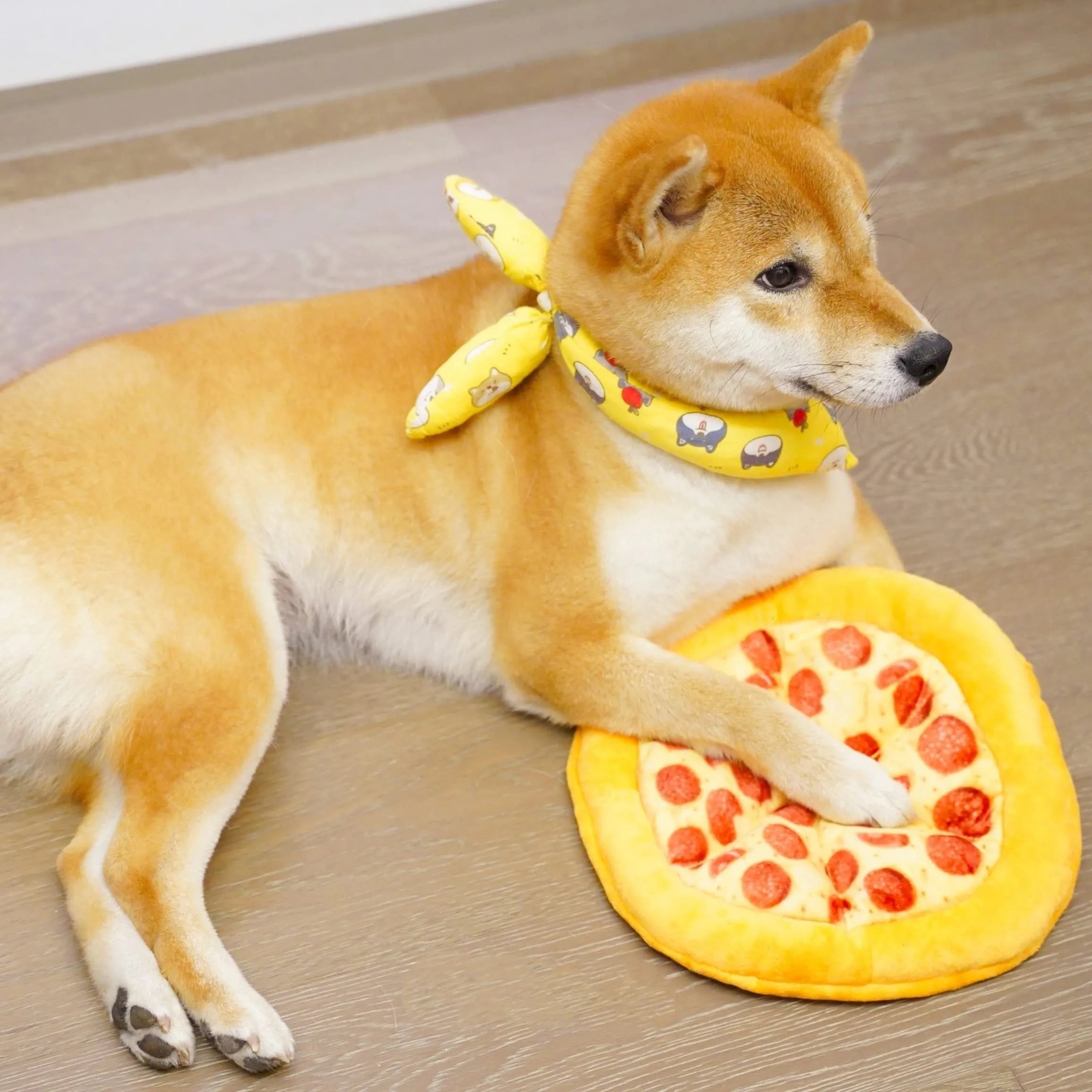 Yellow pizza slice shaped dog chew toy with squeaker for small medium dogs