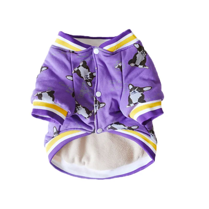 Cotton dog winter jumper in purple and navy blue, sizes XS to XXL for 2-25 kg dogs