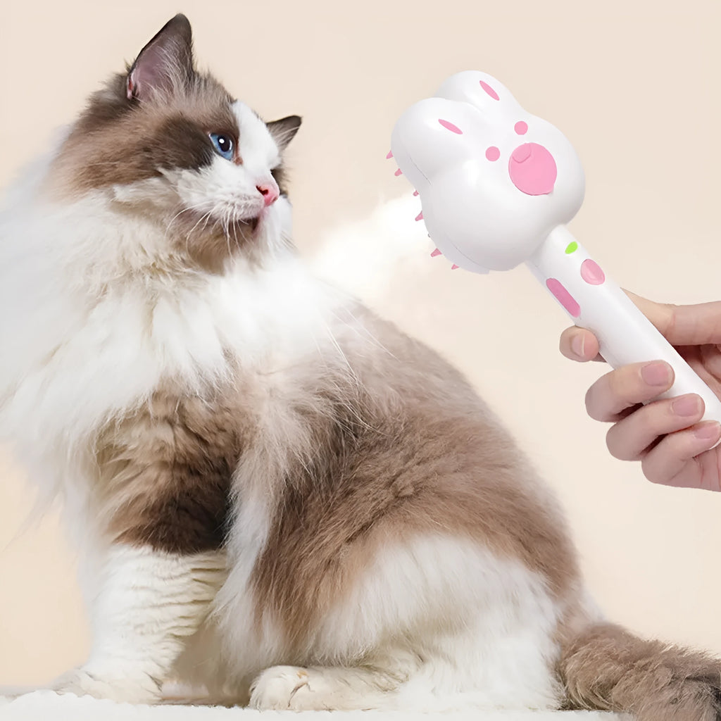 Rechargeable cat steam grooming brush with cartoon design in green, pink or white colours