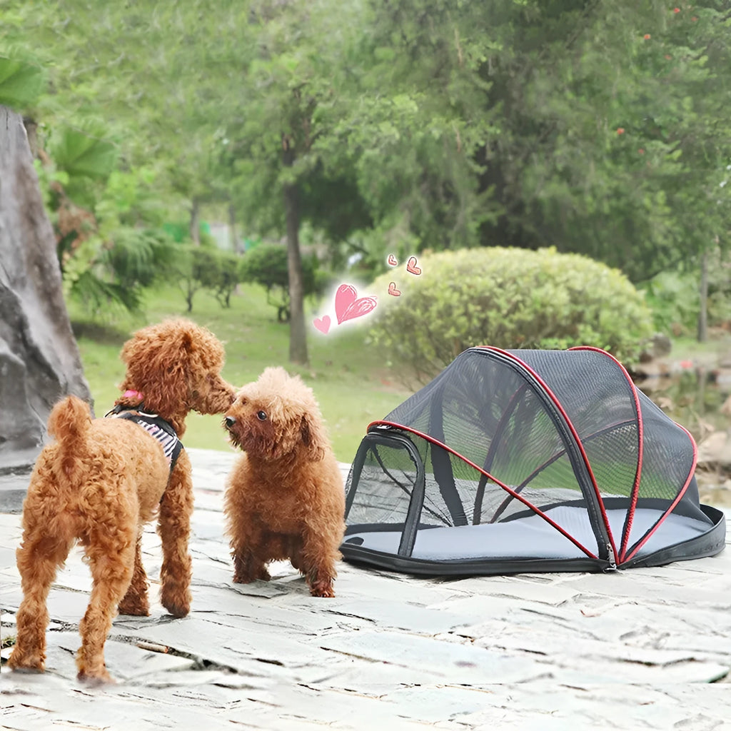 Folding portable cat tent with half-mesh sides in blue or black colour option.