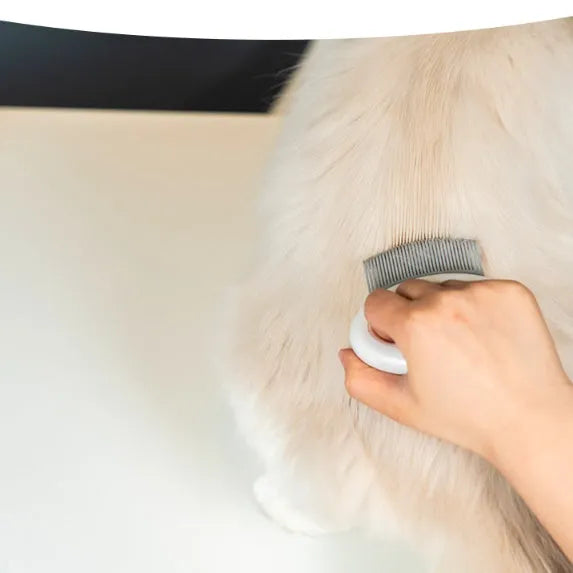 Plastic pet grooming comb for cats and dogs in blue, pink, grey, brown, and green, with double head pocket, pebble, and hook comb styles