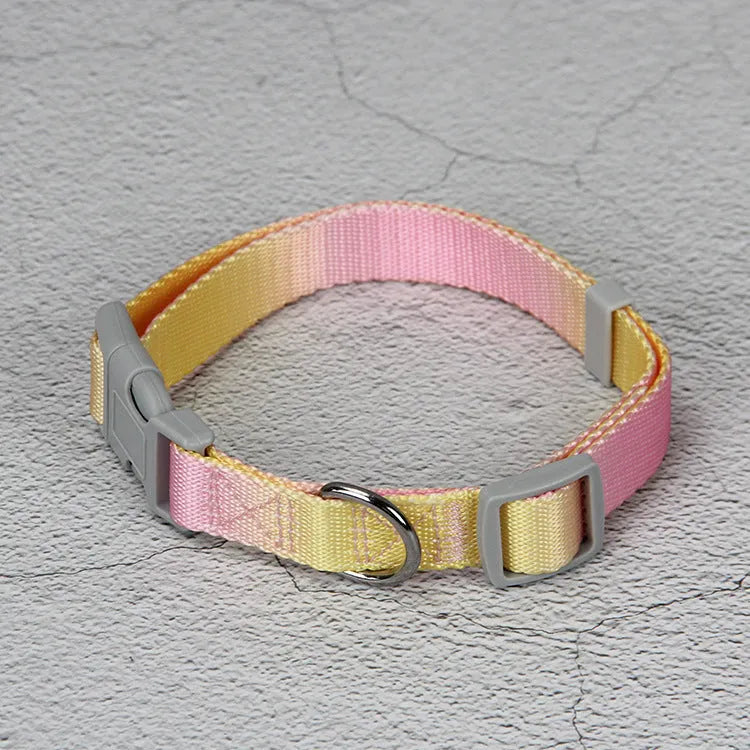 Nylon dog leash and collar set showing gradient colour pattern in pink and blue
