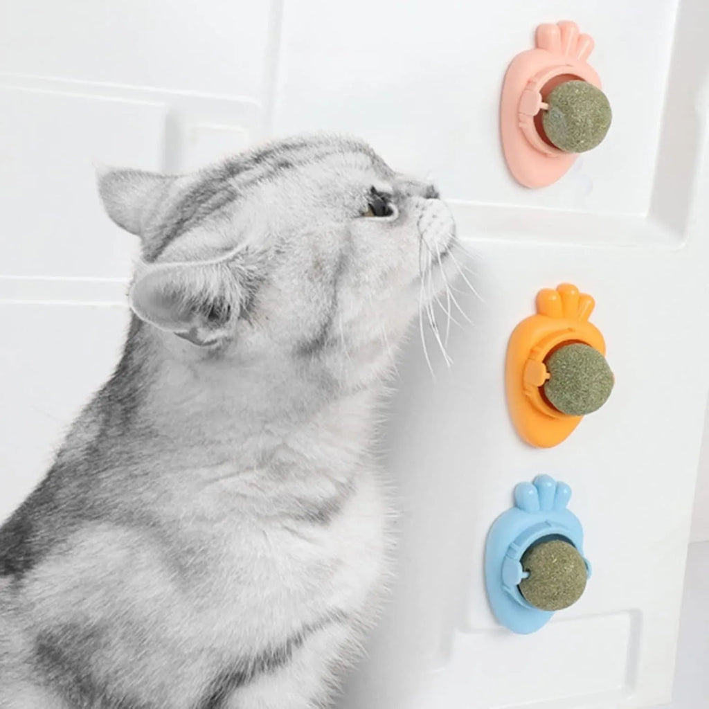 Blue carrot-shaped catnip ball with self-adhesive sticker for wall mounting and cat teeth cleaning