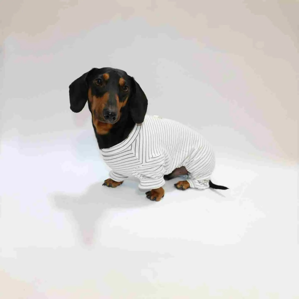 Thin striped four-legged pet clothes for dogs and cats, S to 2XL, black white or navy blue
