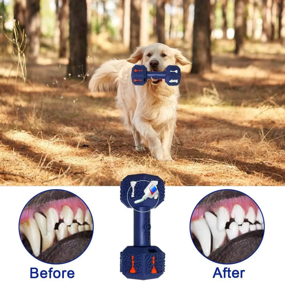 Blue durable rubber dog chew toy shaped like a dumbbell with textured surface.