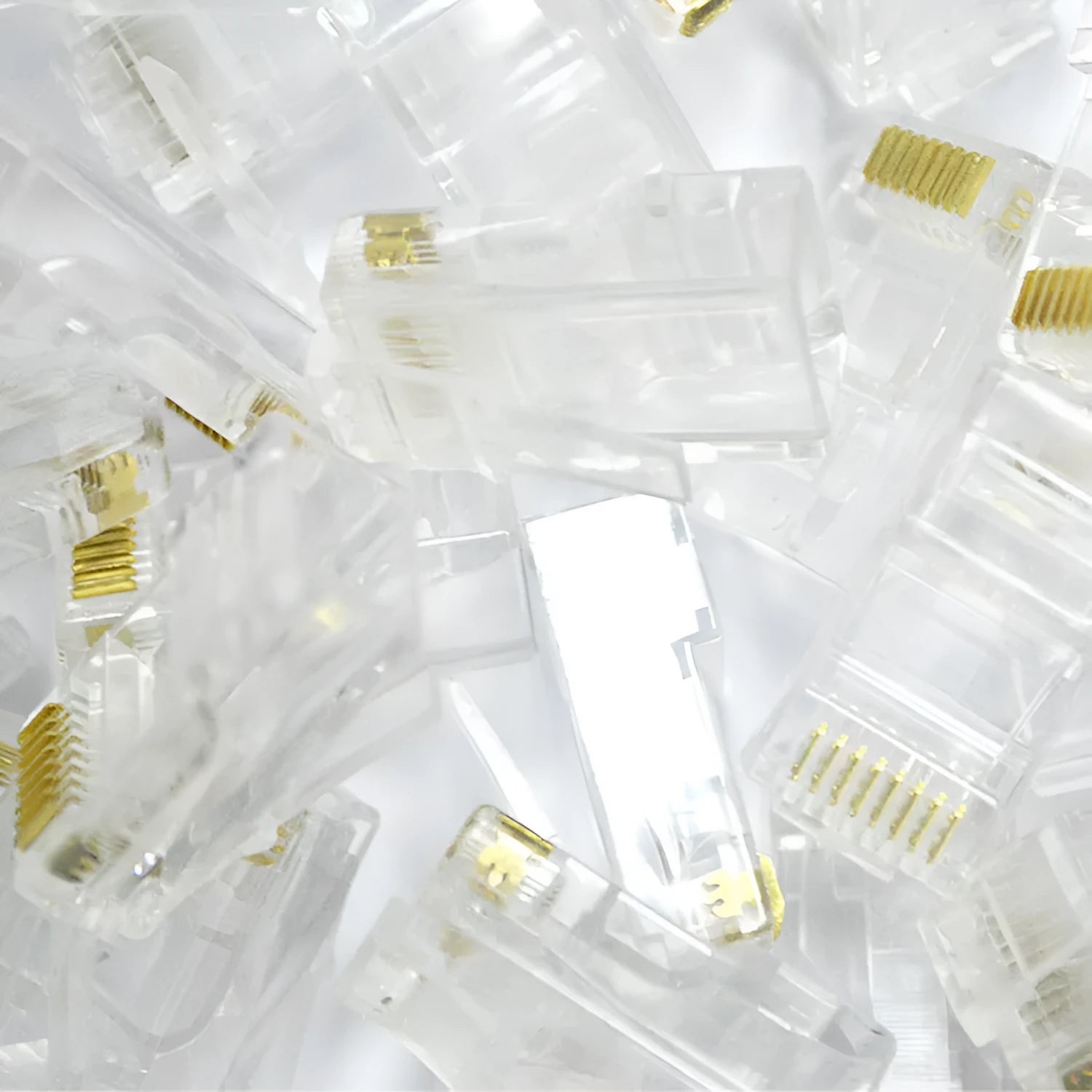 White network modular plug showing three-fork gold-plated contacts and all-copper insert construction