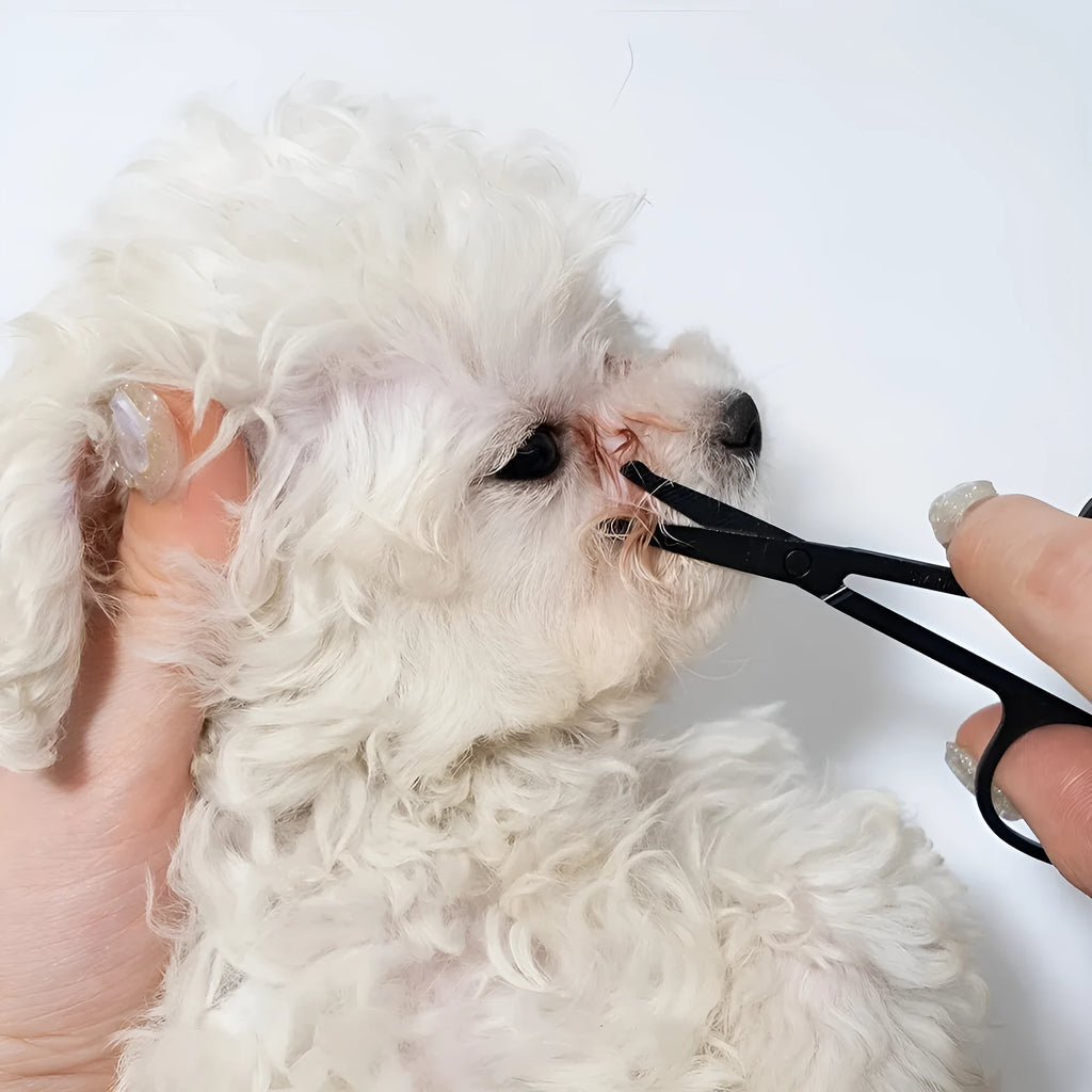 Black pet grooming brush with dual heads: soft bristles for eye cleaning and comb for hair removal