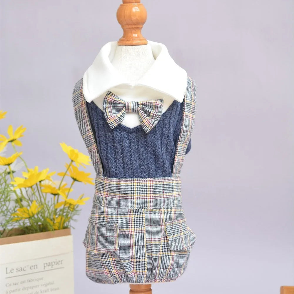 Orange and dark blue cotton dog shirt for small dogs showing size options S to 2XL