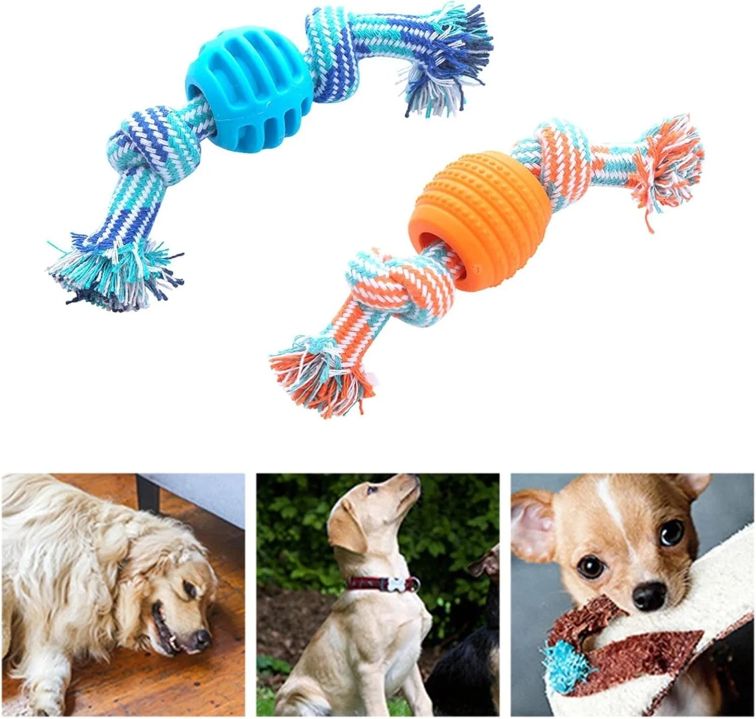 Blue molar-shaped dog chew toy with natural rubber rope attachment for dental cleaning