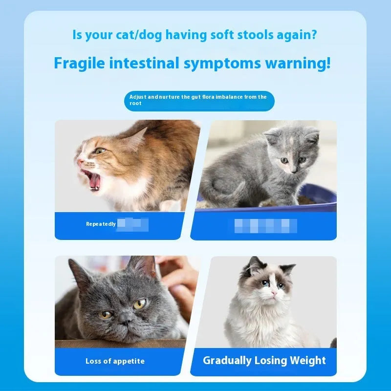 Bottle of 180 pet probiotic tablets for dog and cat digestive health support