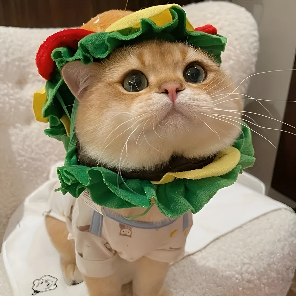 Colourful burger costume hat for cats on a cone collar base in three sizes