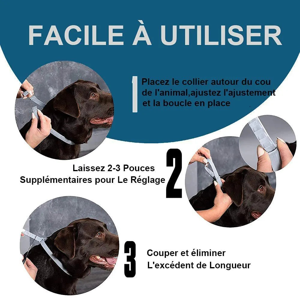 Rainbow plastic flea and anti-lice collar for cats and dogs in two sizes
