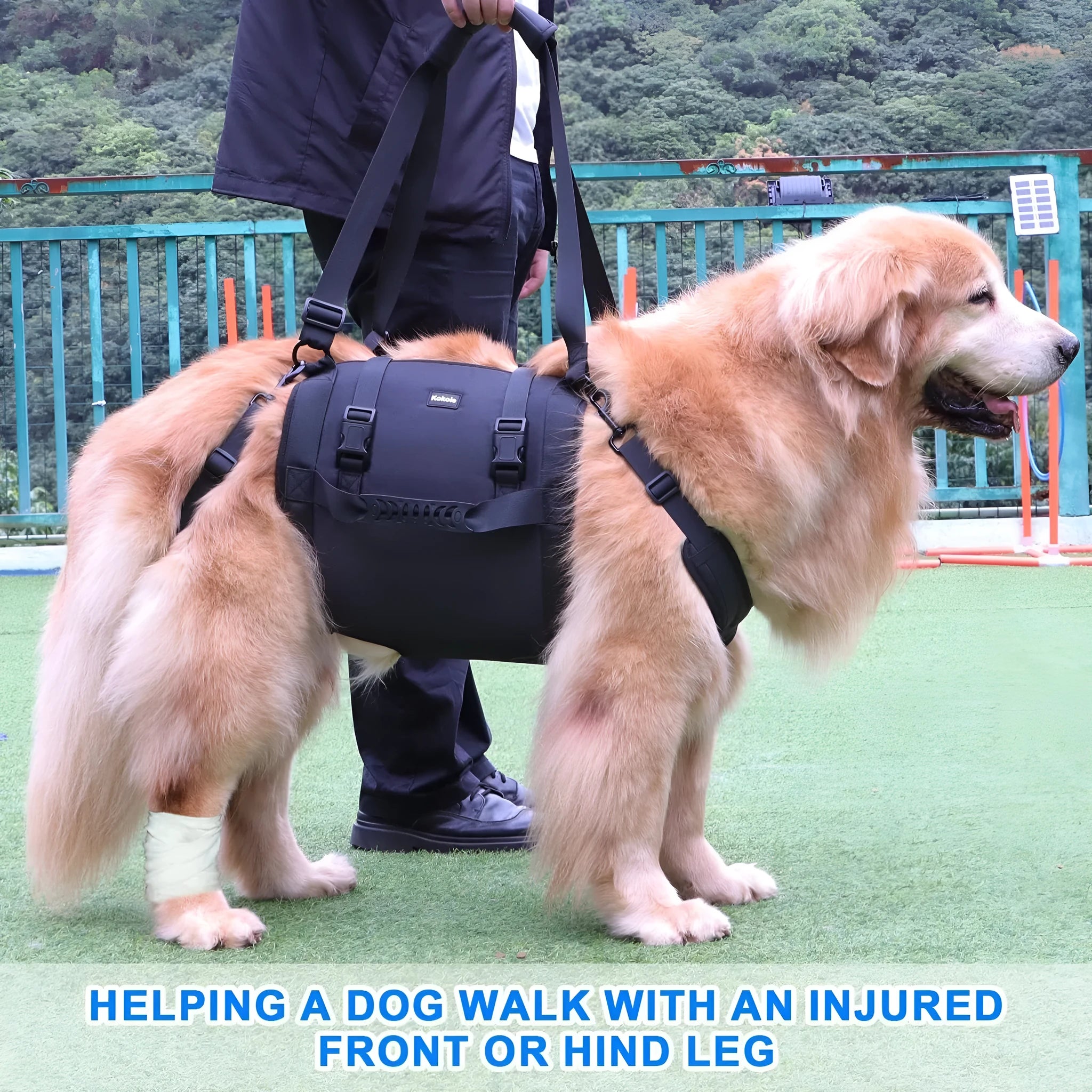 Black Oxford cloth dog rehabilitation harness with adjustable breast strap for leg support.