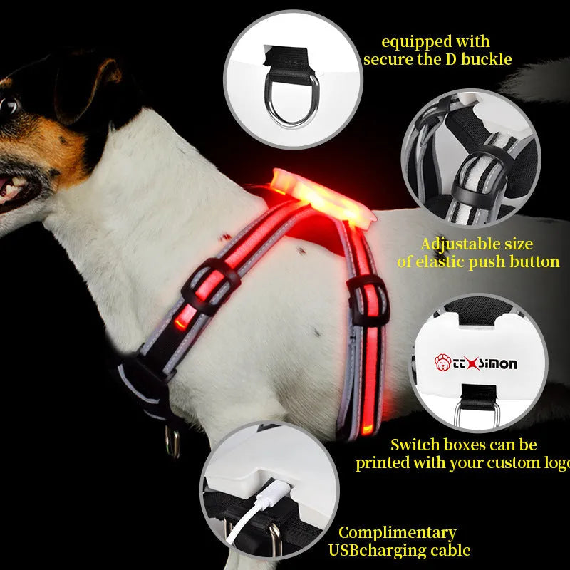 Seven-colour LED dog leash with nylon strap and charging cable in multiple size options