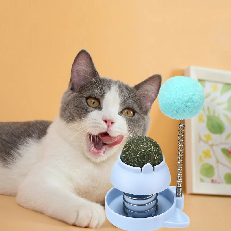 55mm mint-scented cat toy ball with self-moving mechanism in blue, orange and pink colour options