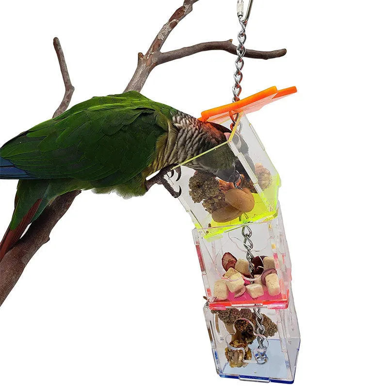 Clear acrylic parrot foraging toy measuring 5cm by 5cm by 32cm with bird treats visible inside