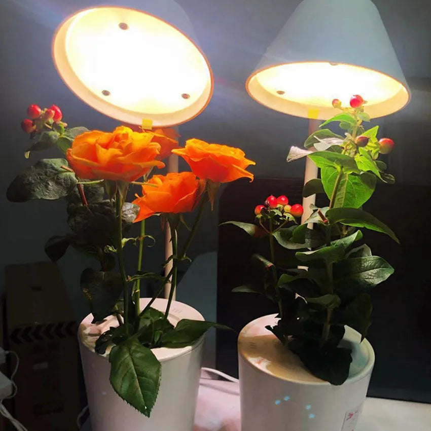 White plastic soilless cultivation plant growth machine hydroponic container on a desktop for office or home gardening