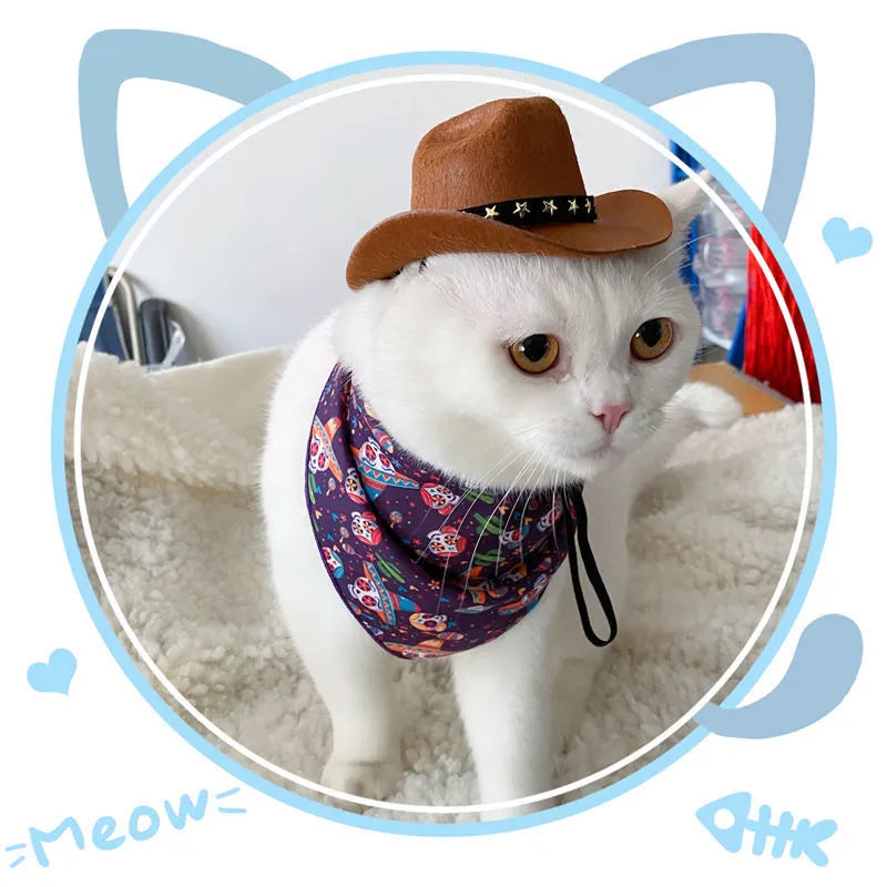 British-style cat cowboy hat with velvet belt decoration in S and M sizes