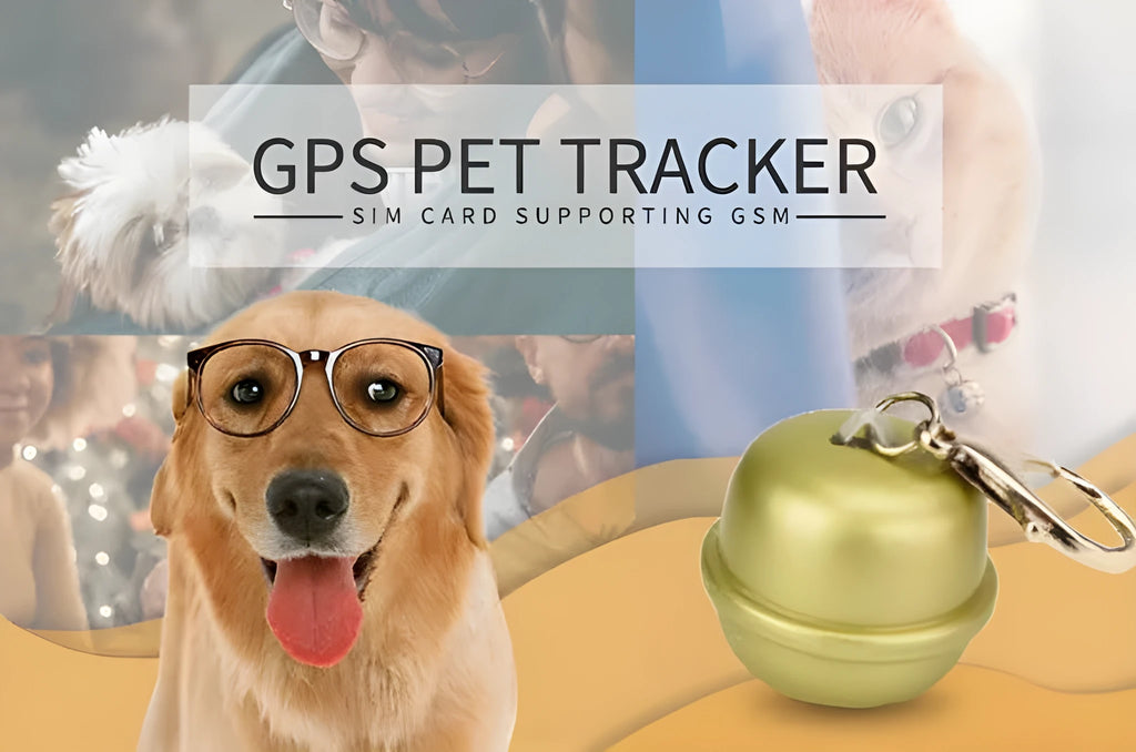 Black GPS dog collar locator with LED light on a adjustable nylon strap