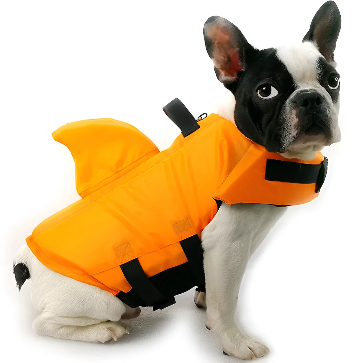 Shark dog life vest in blue or orange cloth with buckle, sizes XS to XXL