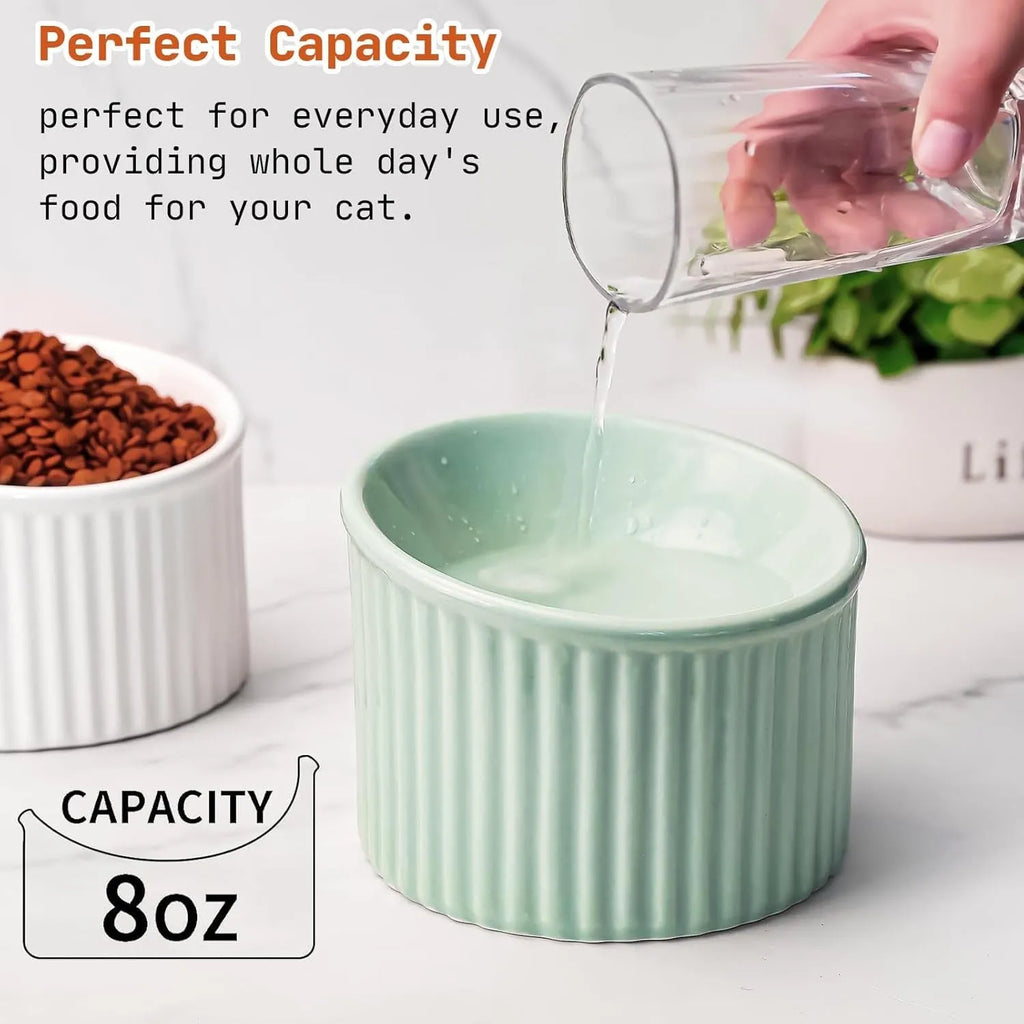 Ceramic elevated cat bowl in green colour, showing tilted design and raised feeding height.