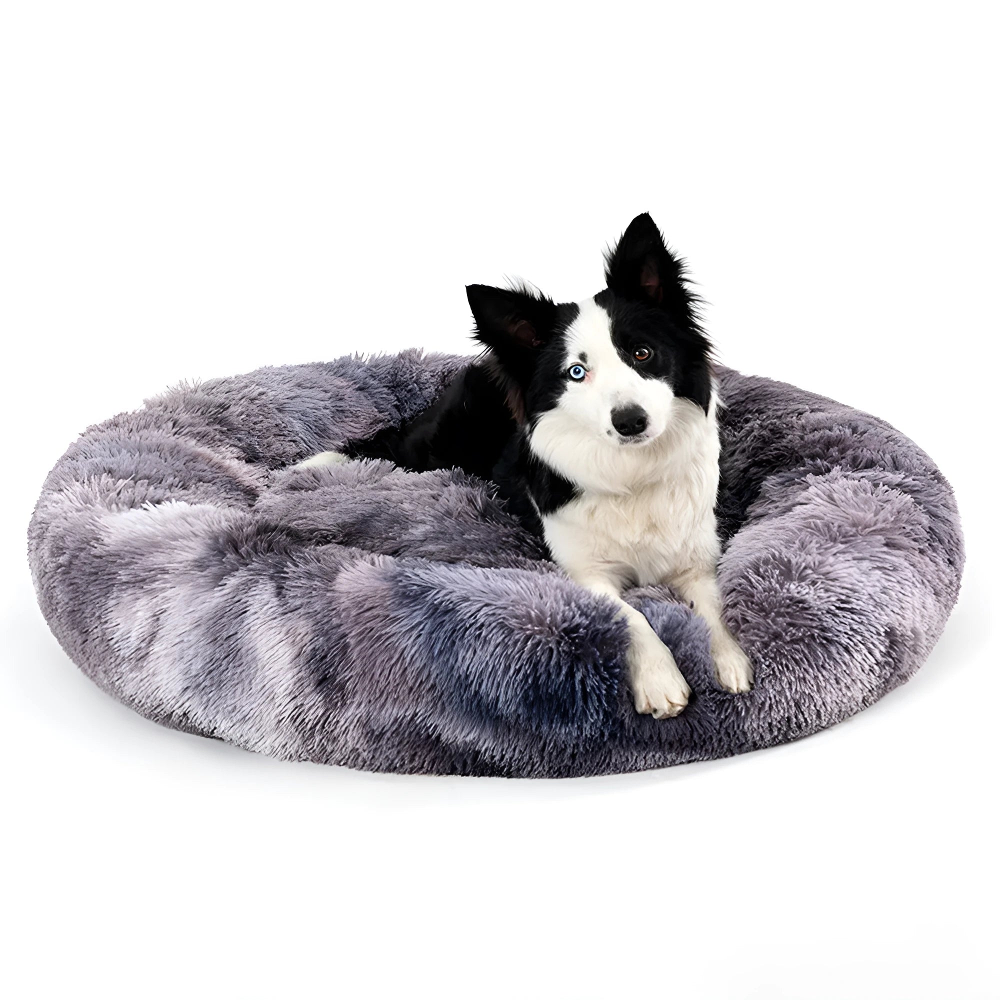 A round donut-shaped dog bed with a raised plush rim, shown in a light grey colour.