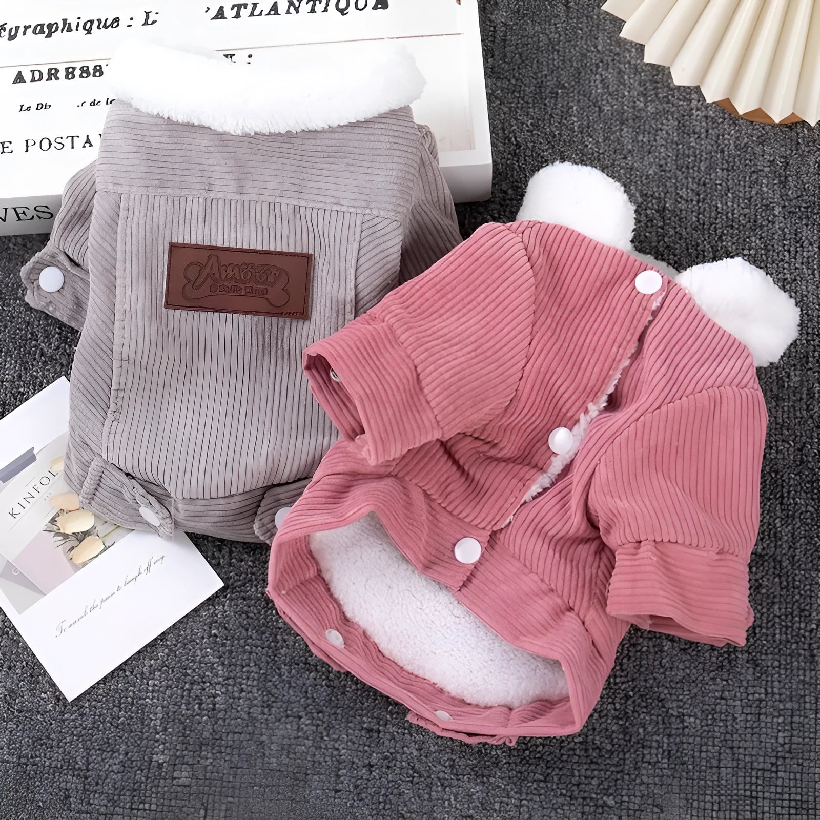 Lambswool grey dog vest with wool lining for autumn and winter warmth