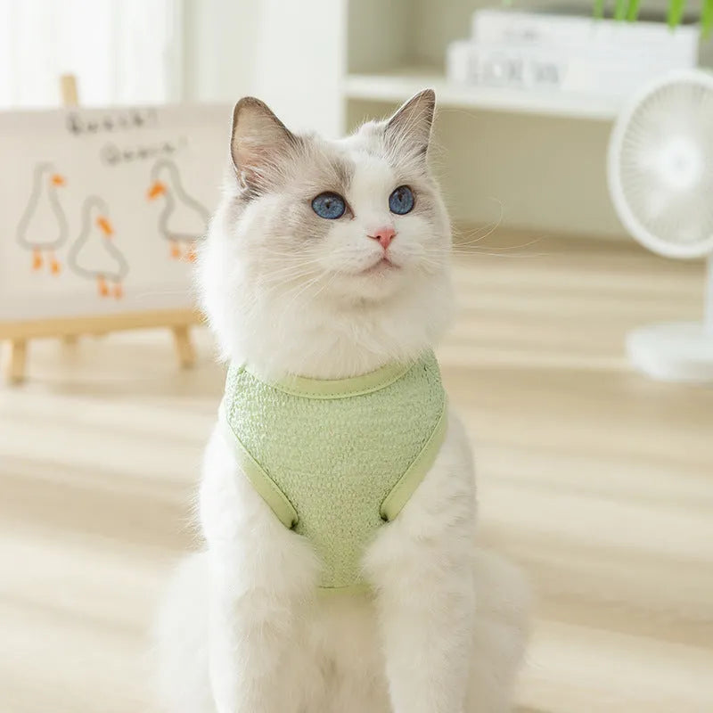 Hollowed-out cat clothes with bear patch in knitted fabric, shown in green colour