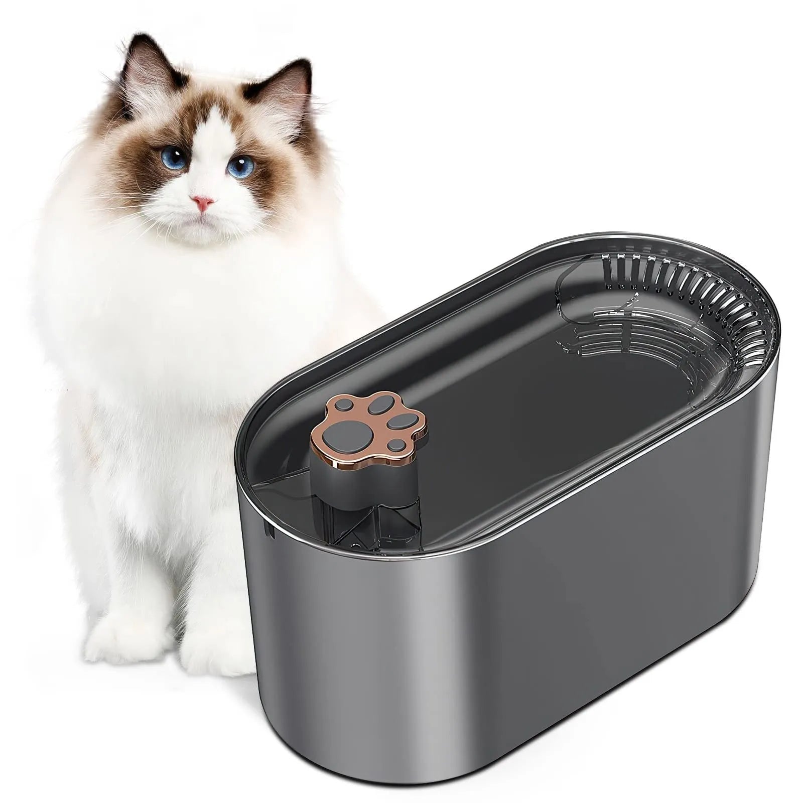 Berlin blue automatic pet water fountain with 3L capacity and LED light display on base