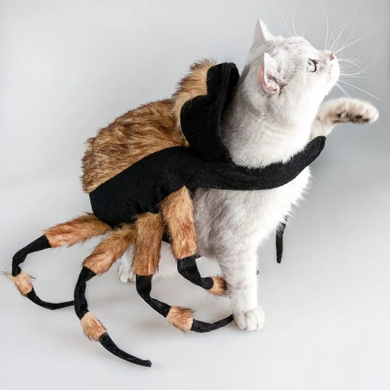 Pet spider costume with 8 simulation spider legs and black long plush, for cats and puppies, sizes S and M