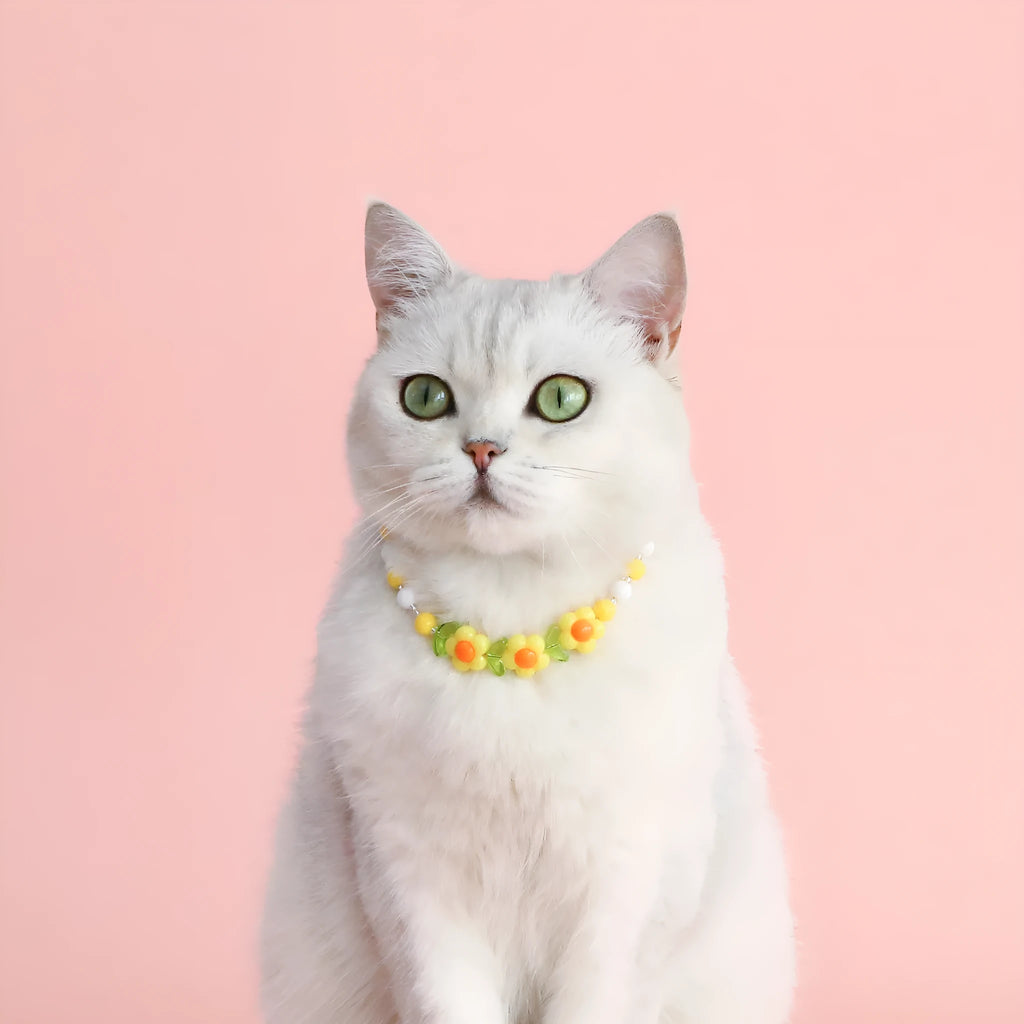 Colourful plastic bead cat necklace with adjustable sizing in peach, rainbow, and small flower patterns