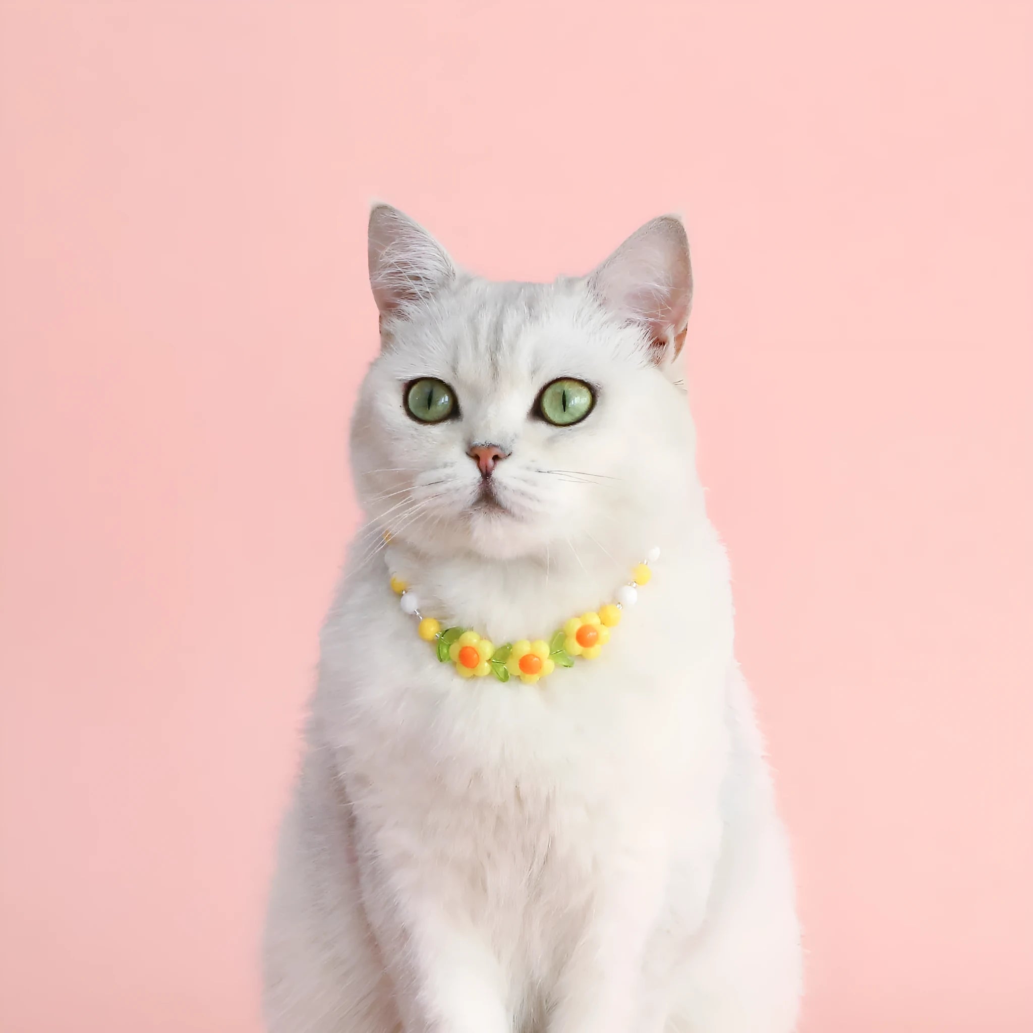 Colourful plastic bead cat necklace with adjustable sizing in peach, rainbow, and small flower patterns