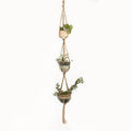 Woven wire plant basket with cotton rope, shown as a desktop planter and wall hanging style.