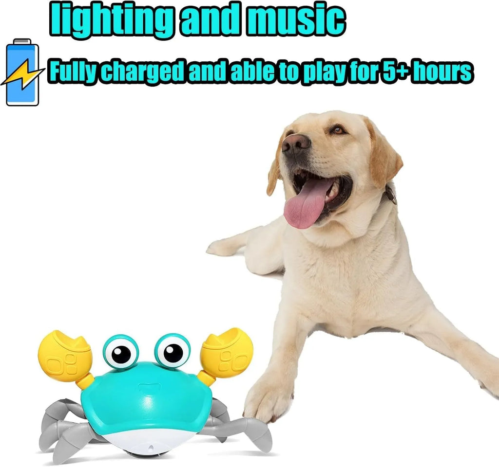 Blue or red electronic crab dog toy with lights, shown crawling, with a USB charging cable