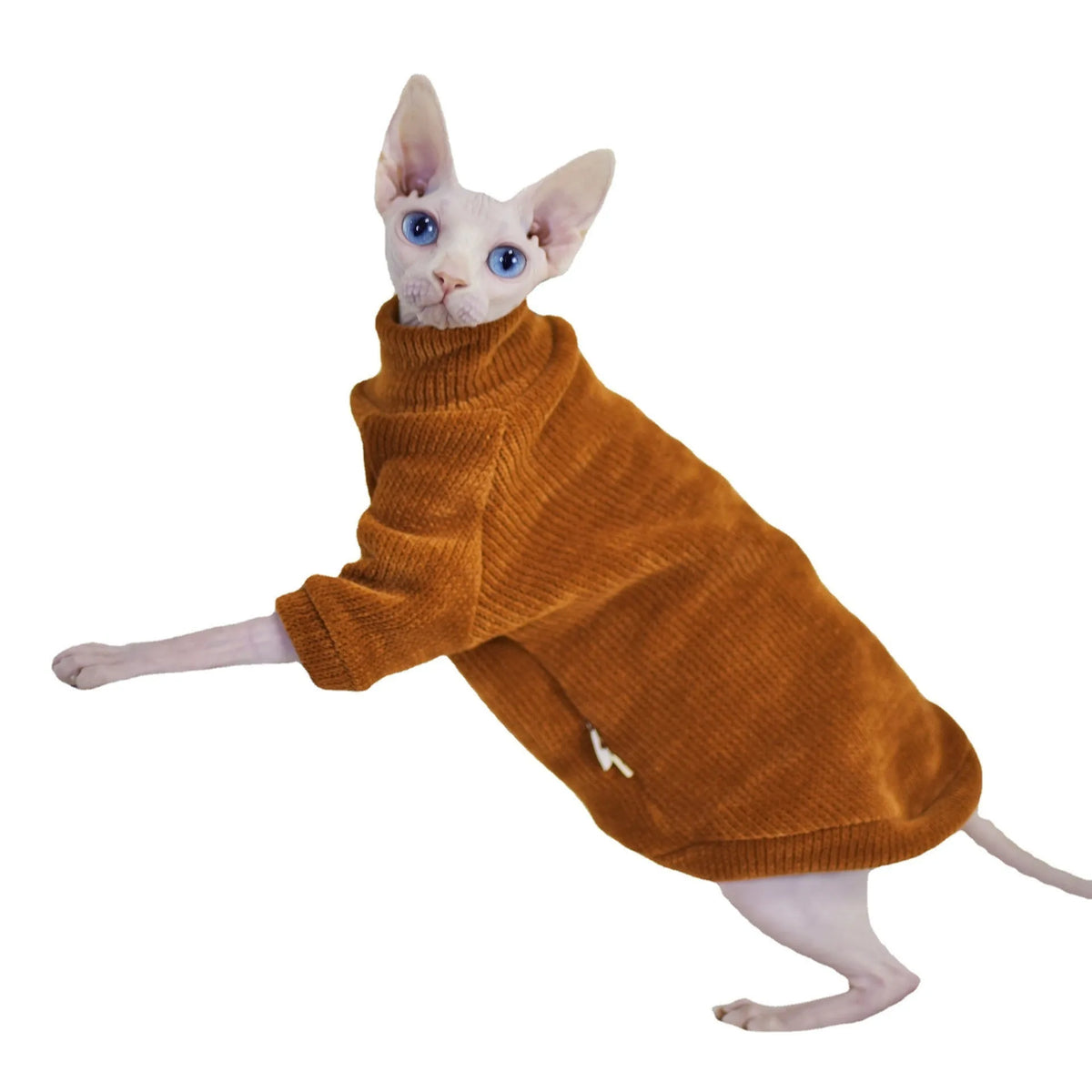 Caramel brown chenille hairless cat jumper, thickened for winter, unisex, sizes XS to XXL.