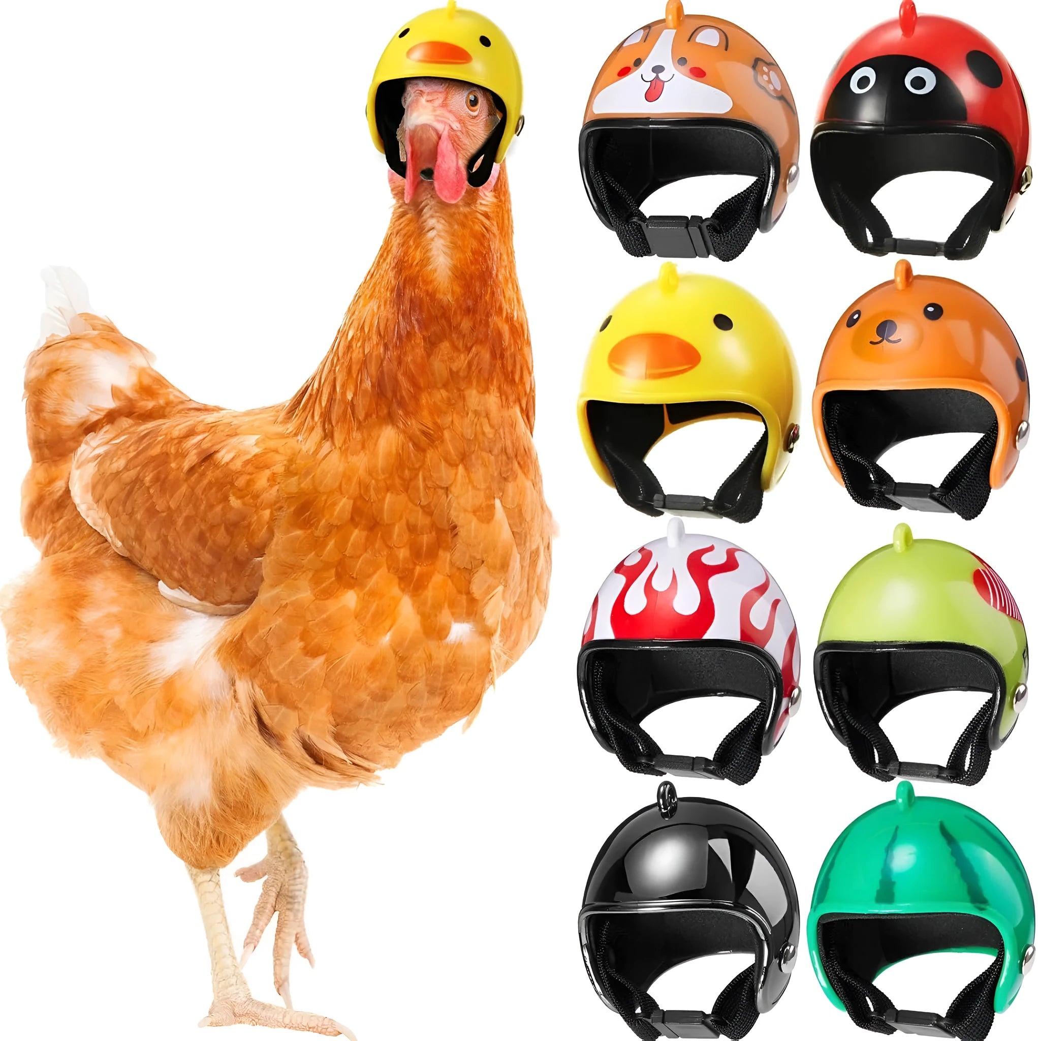 Small hard plastic pet safety helmet with sponge lining for a chicken or bird.