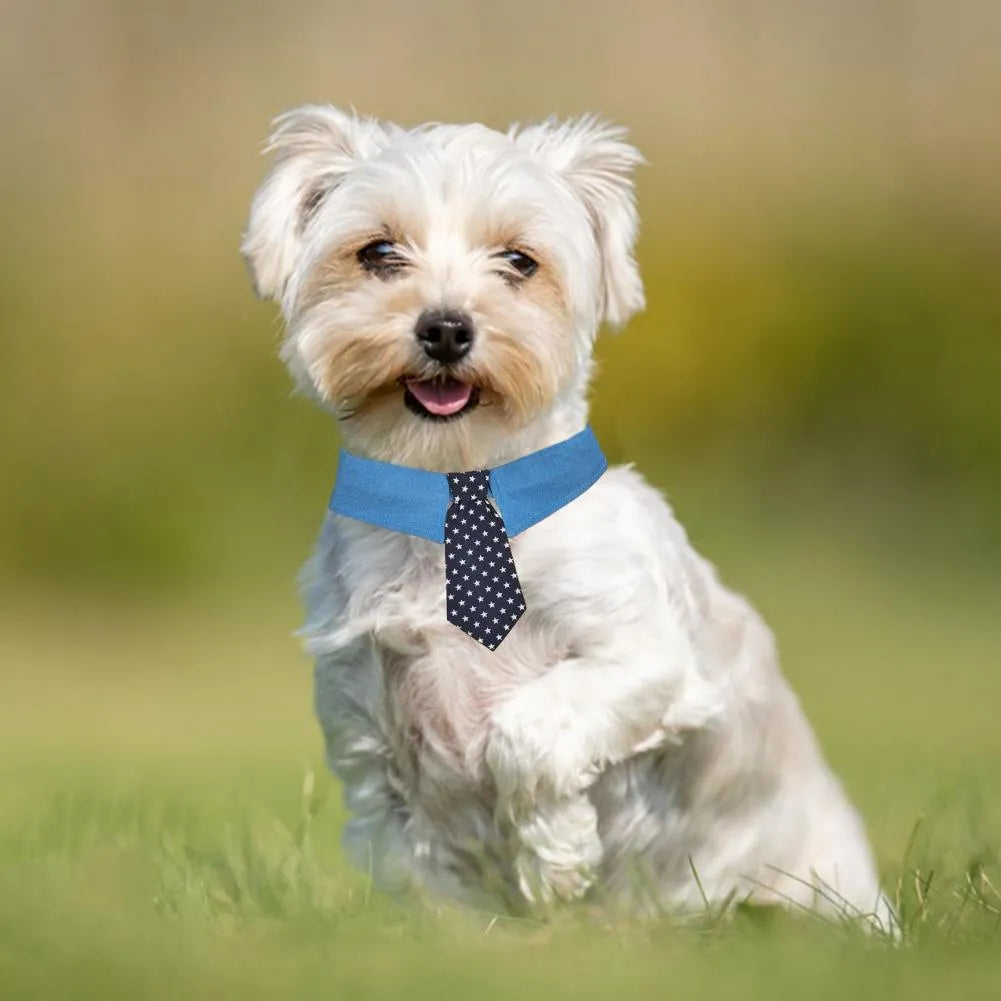 Adjustable denim dog collar with star pattern, shown as a bow tie style on a dog.