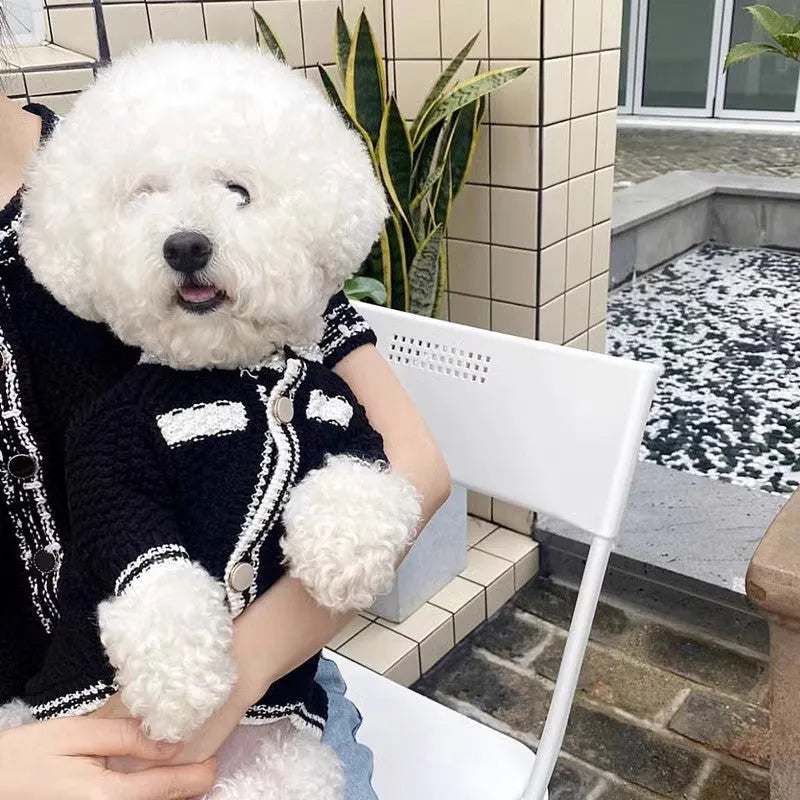 Korean style white puppy sweater with pearl collar for small dogs, size chart showing weight ranges