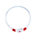 Blue USB rechargeable LED dog collar glowing on a dog's neck at night.
