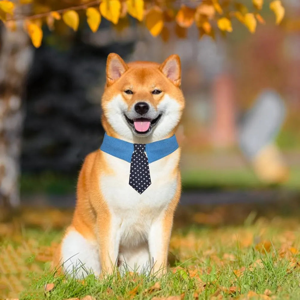 Adjustable denim dog collar with star pattern, shown as a bow tie style on a dog.