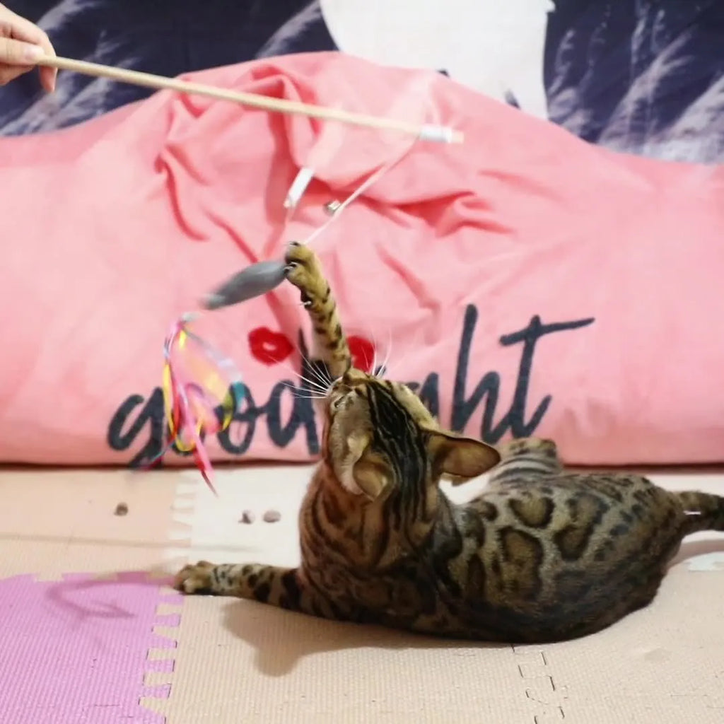 Cat wand toy with wooden handle, elastic rope, catnip fish, colourful ribbons and small bell