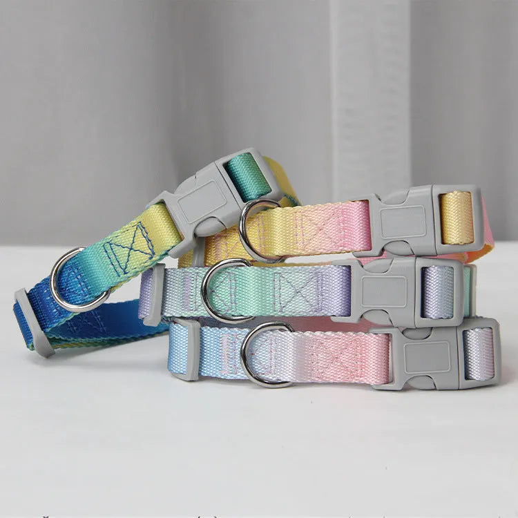 Nylon dog leash and collar set showing gradient colour pattern in pink and blue