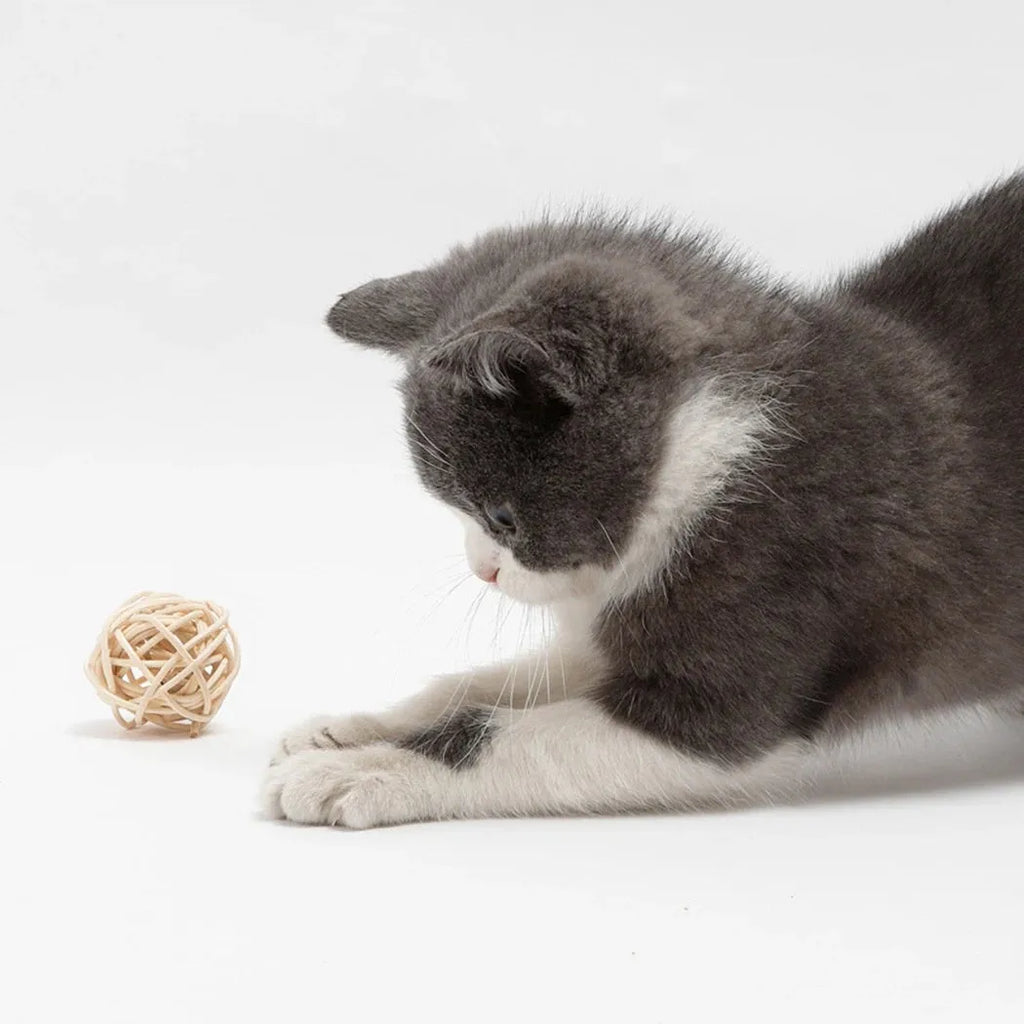 Two cat toys including a hollow rattan ball and a faux feather ball with bells for interactive kitten play