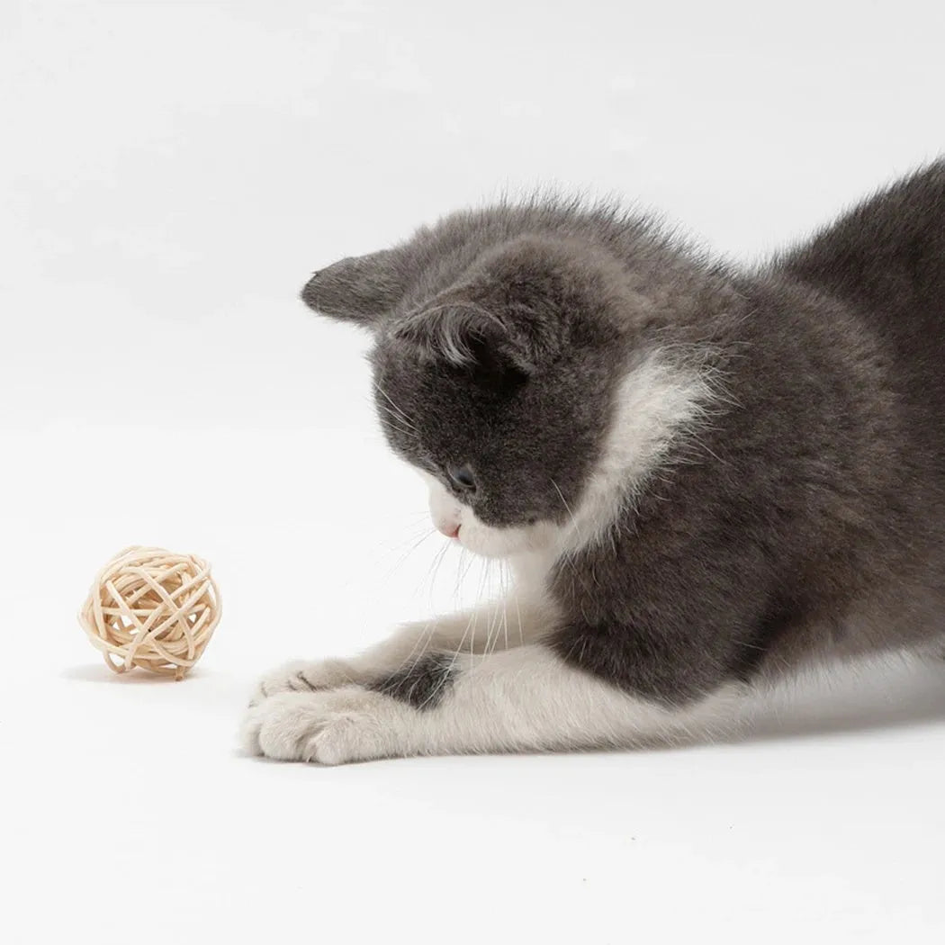 Two cat toys including a hollow rattan ball and a faux feather ball with bells for interactive kitten play