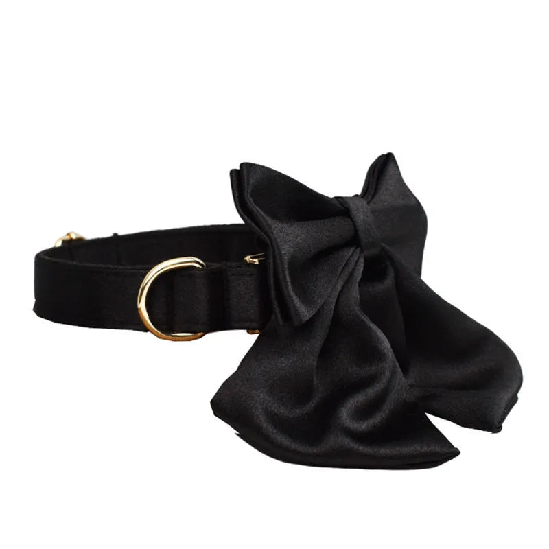 Dog wearing cloth chest strap harness with matching collar, leash, and decorative bow tie