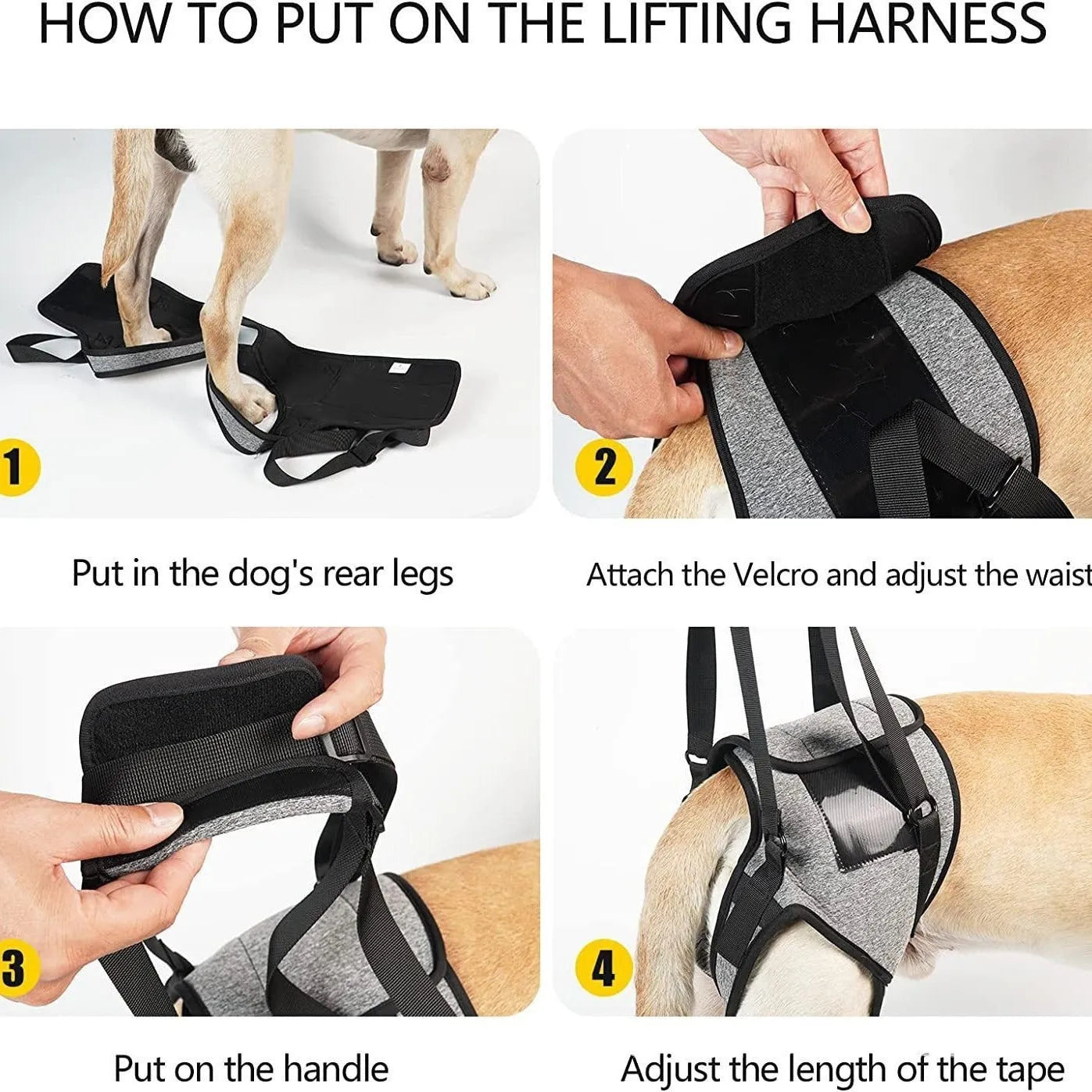 Grey neoprene dog hind leg recovery support belt with adjustable waist and thigh straps