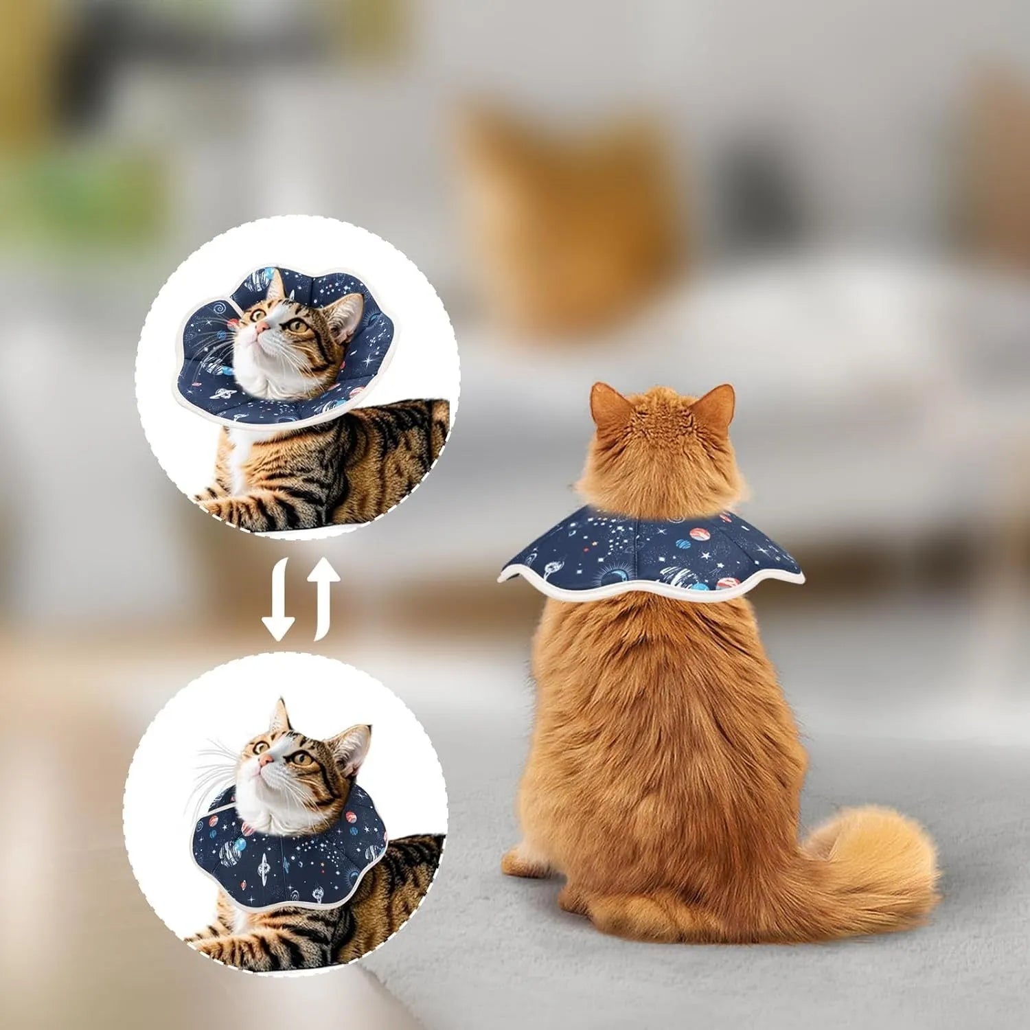 Soft adjustable cat recovery collar in use showing comfortable fit and normal eating position