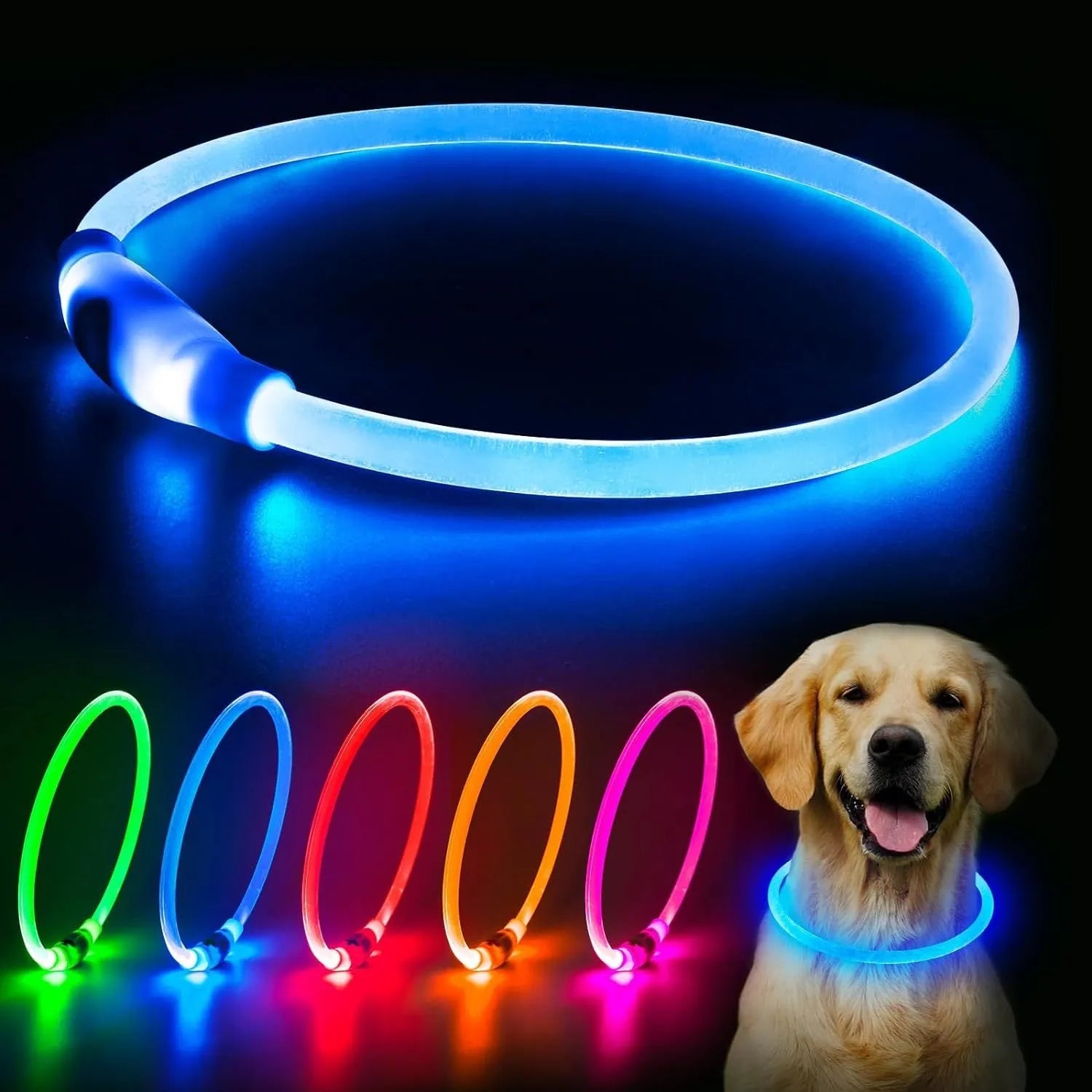 Blue USB rechargeable LED dog collar glowing on a dog's neck at night.